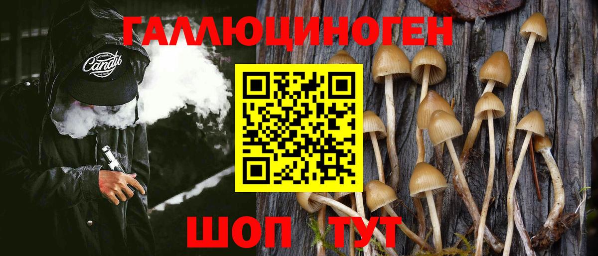Псилоцибиновые грибы Cubensis Абинск